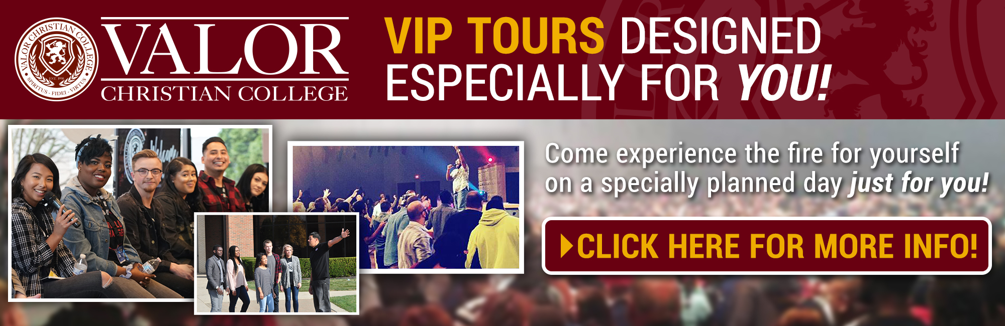 VCC VIP Tours